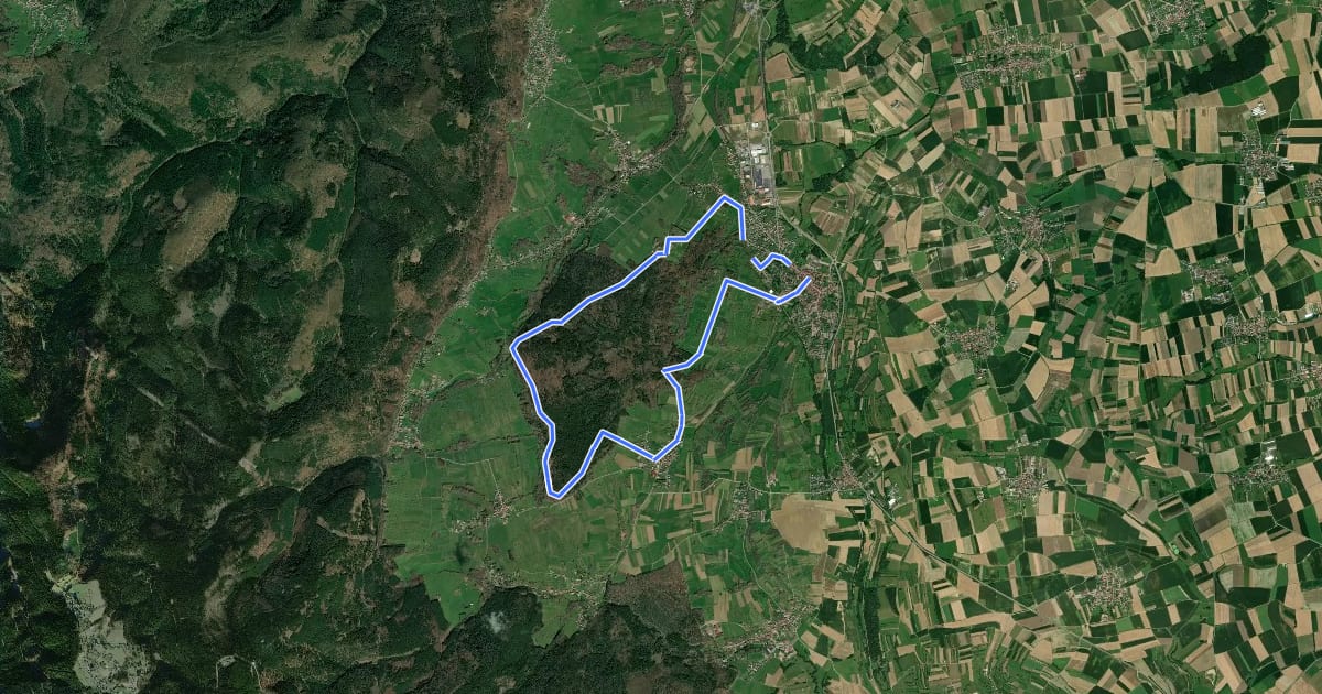 Маршрут Circuit de découverte du Tannenwald на спутниковом снимке