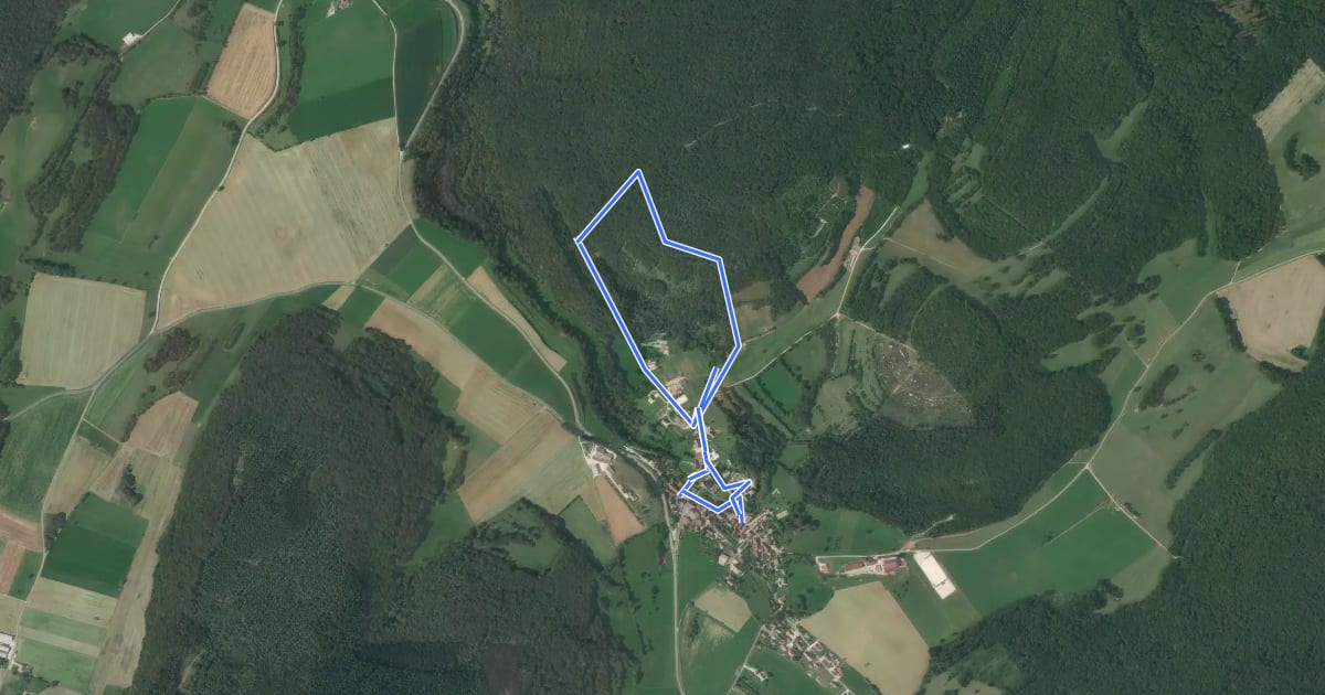 Маршрут Circuit de Fondremand на спутниковом снимке