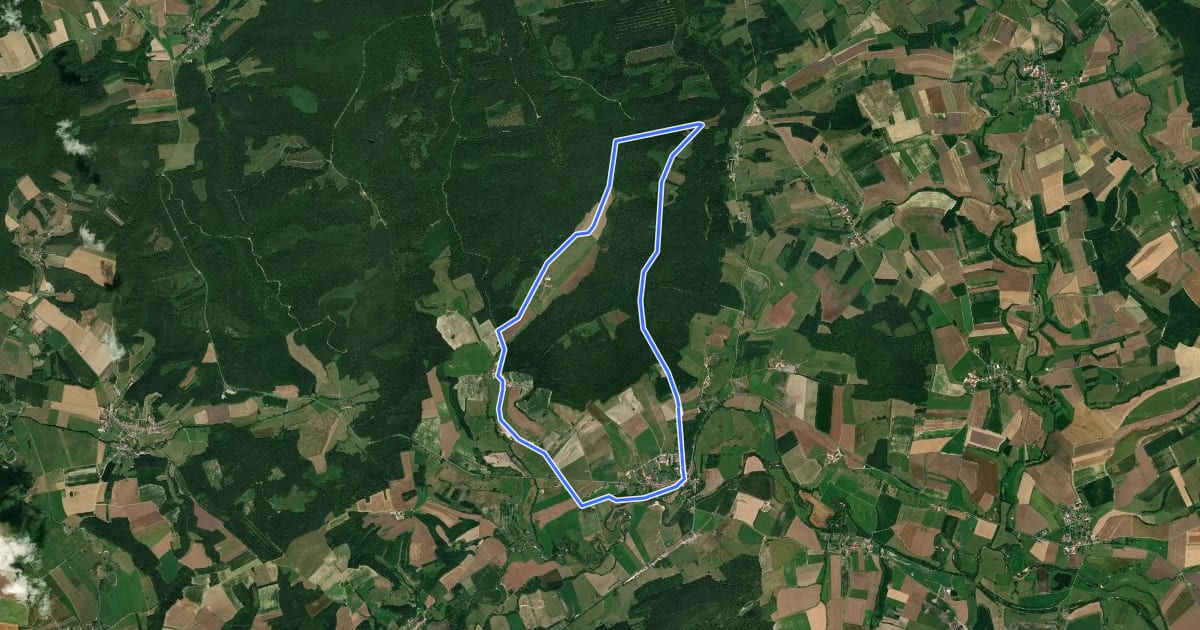 Маршрут Circuit de Fumuy на спутниковом снимке