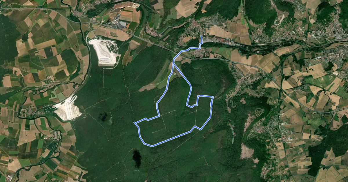 Маршрут Circuit de Grammont на спутниковом снимке
