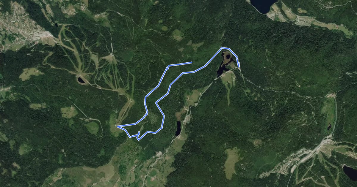 Маршрут Circuit de Grouvelin на спутниковом снимке