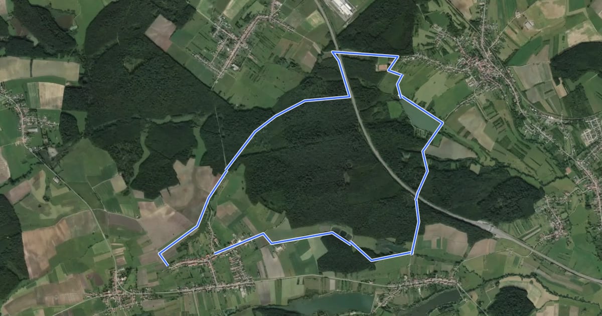 Маршрут Circuit de Guten Brunnen на спутниковом снимке