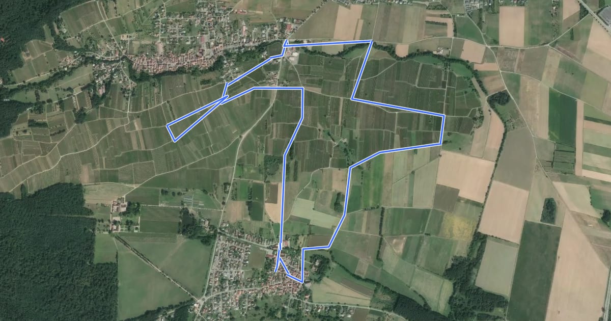 Маршрут Circuit de Hartmannswiller на спутниковом снимке