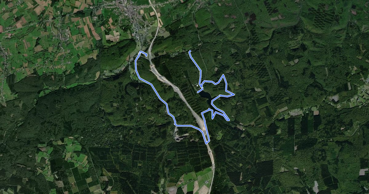Маршрут Circuit de l'Ancien Vicinal на спутниковом снимке