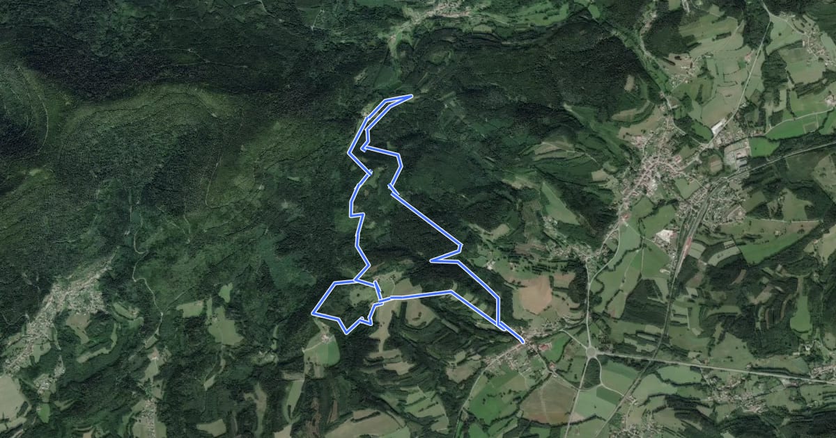 Маршрут Circuit de l’auberge du Spitzemberg на спутниковом снимке