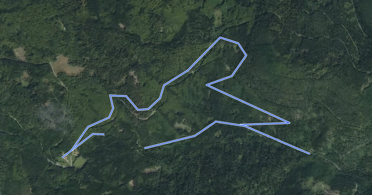 Маршрут Circuit de l'ex-chemin de fer de la forêt на спутниковом снимке
