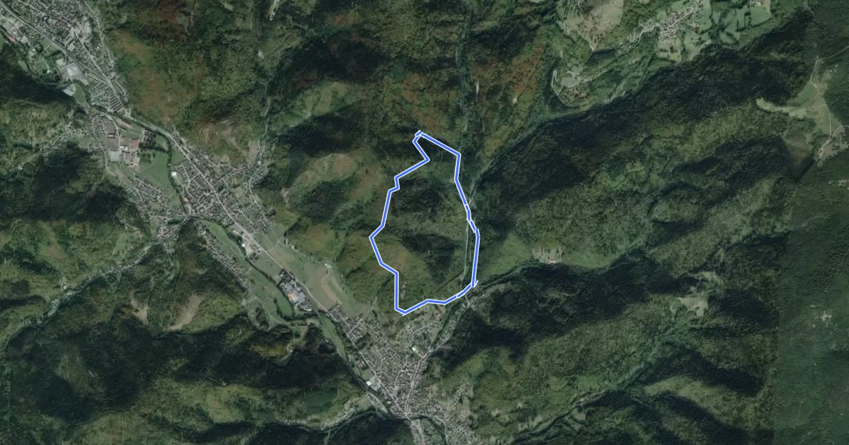 Маршрут Circuit de l’Oberfeld на спутниковом снимке