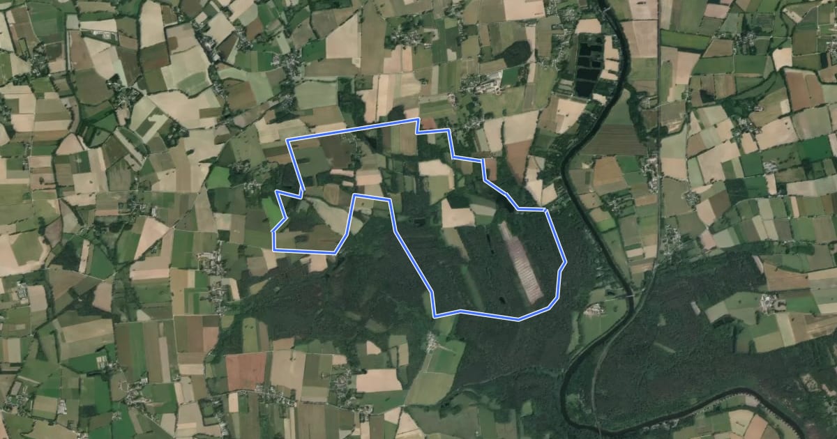 Маршрут Circuit de l'étang et du bois de Baron на спутниковом снимке