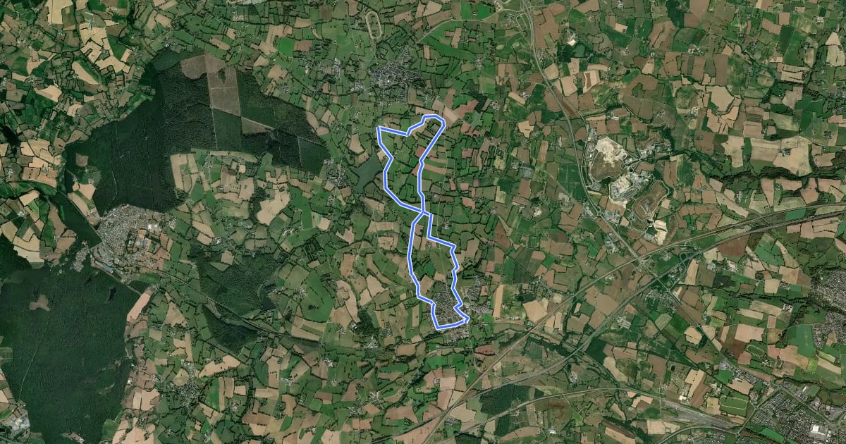 Маршрут Circuit de la Bellangeraie на спутниковом снимке