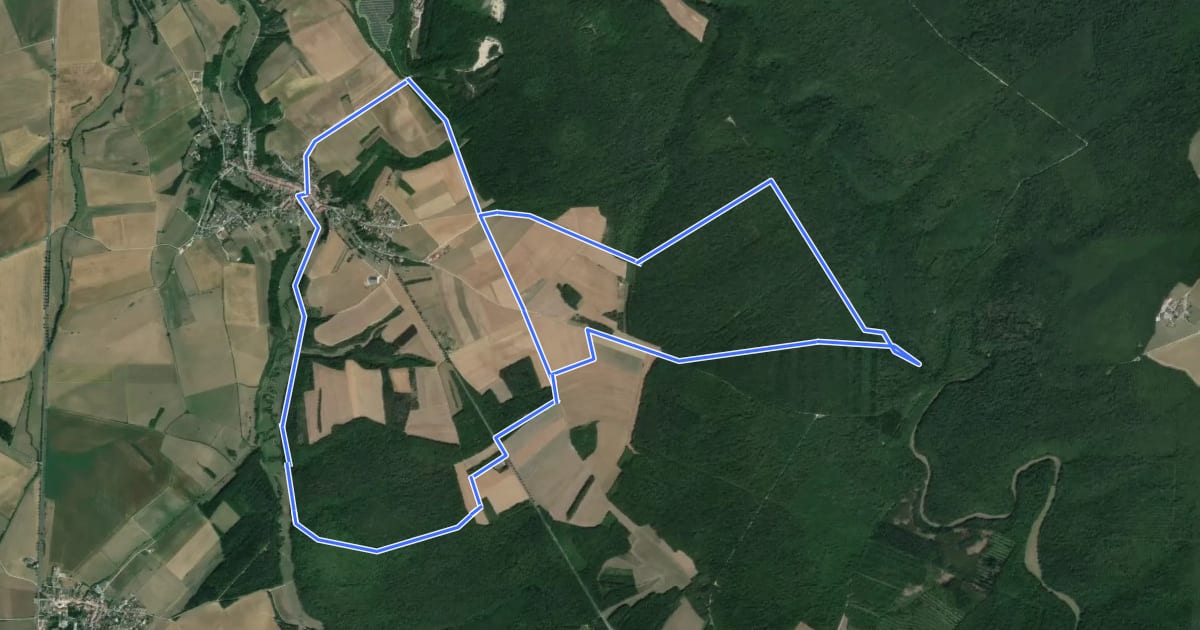 Маршрут Circuit de la Bouvade на спутниковом снимке
