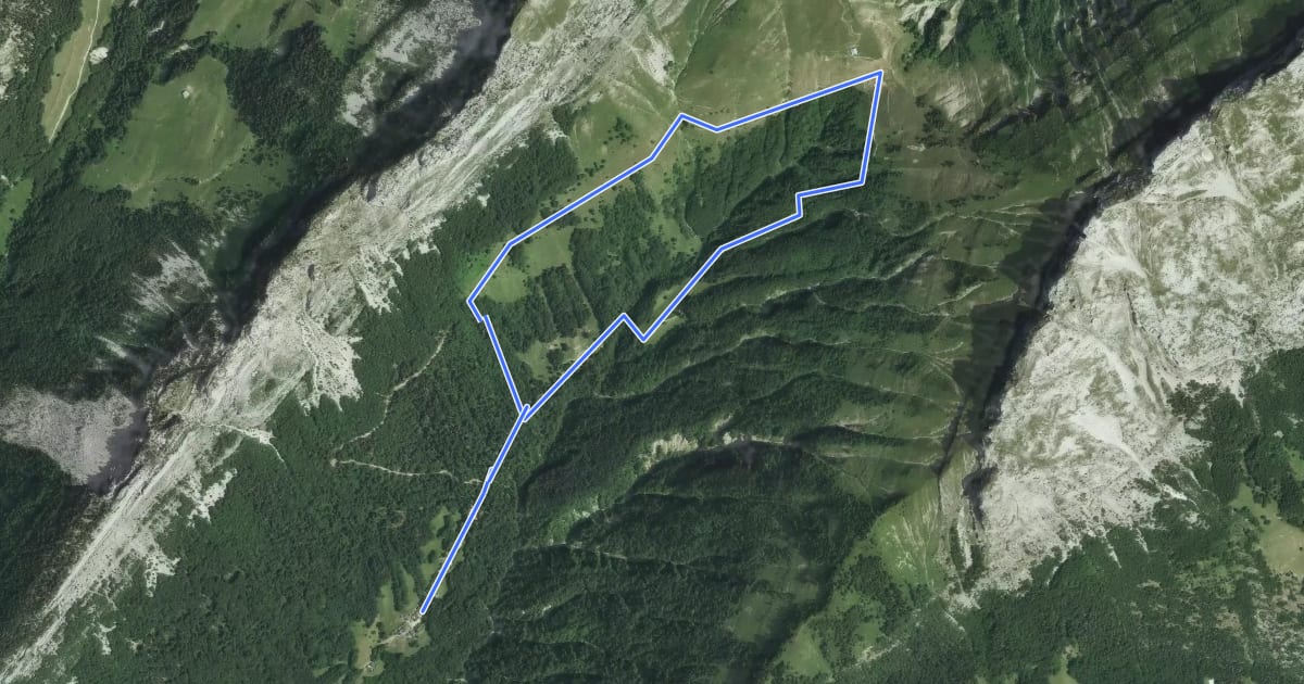 Маршрут Circuit de la Buffaz на спутниковом снимке