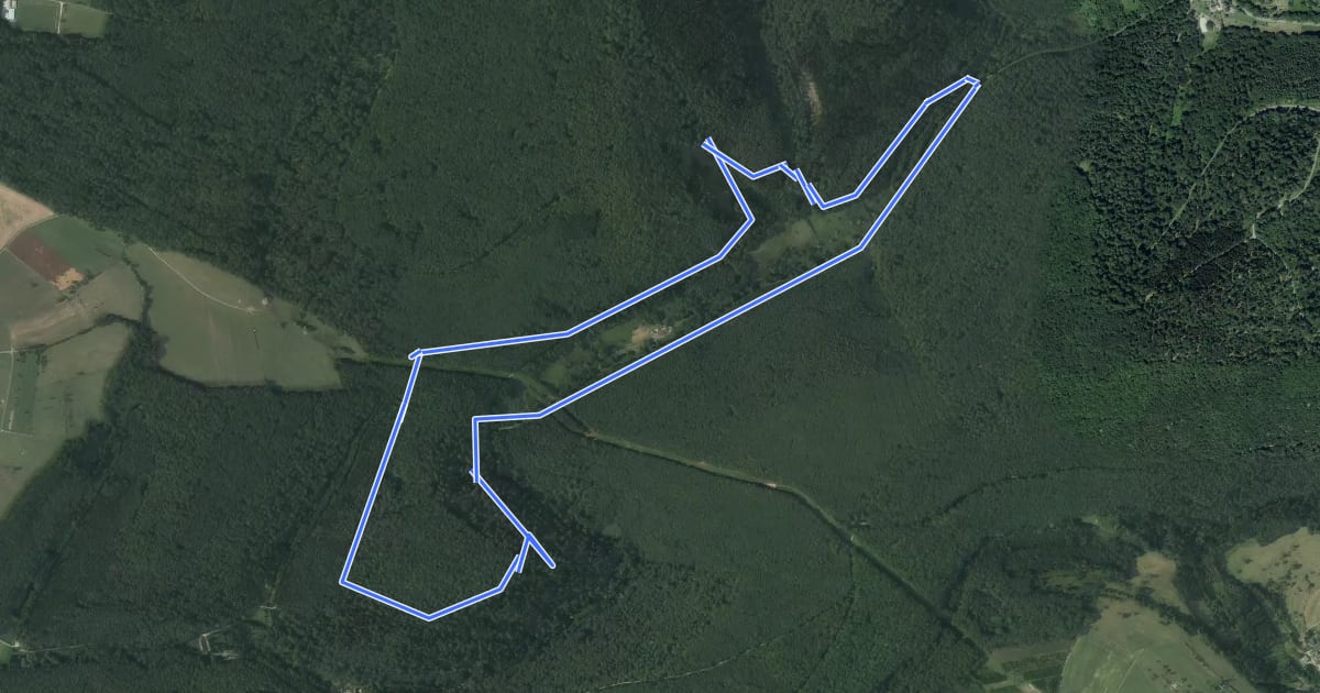 Маршрут Circuit de la Burg на спутниковом снимке
