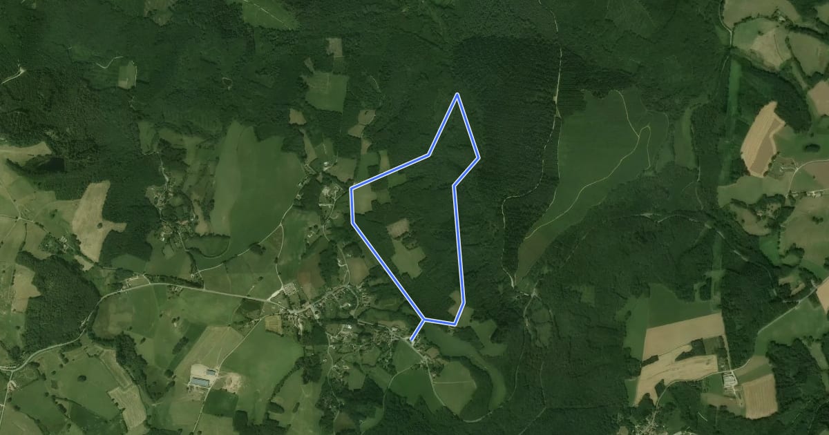 Маршрут Circuit de la Chapelle на спутниковом снимке