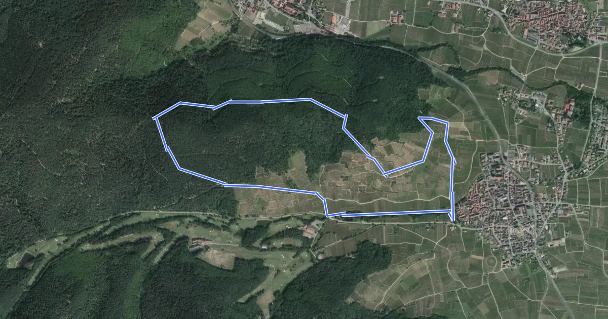 Маршрут Circuit de la chapelle Flieger на спутниковом снимке