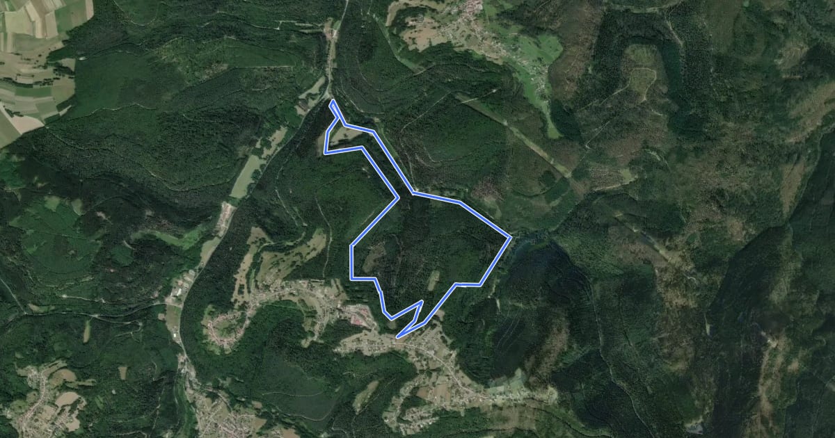 Маршрут Circuit de la Chapelle St. Fridolin на спутниковом снимке