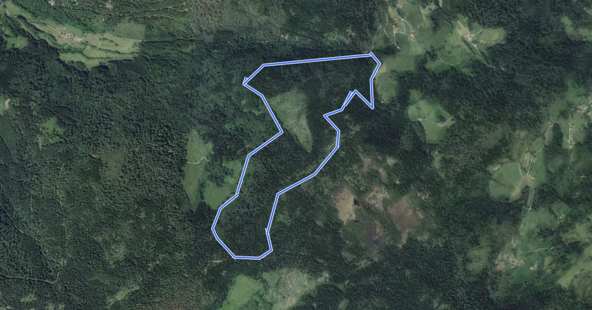 Маршрут Circuit de la Charme на спутниковом снимке