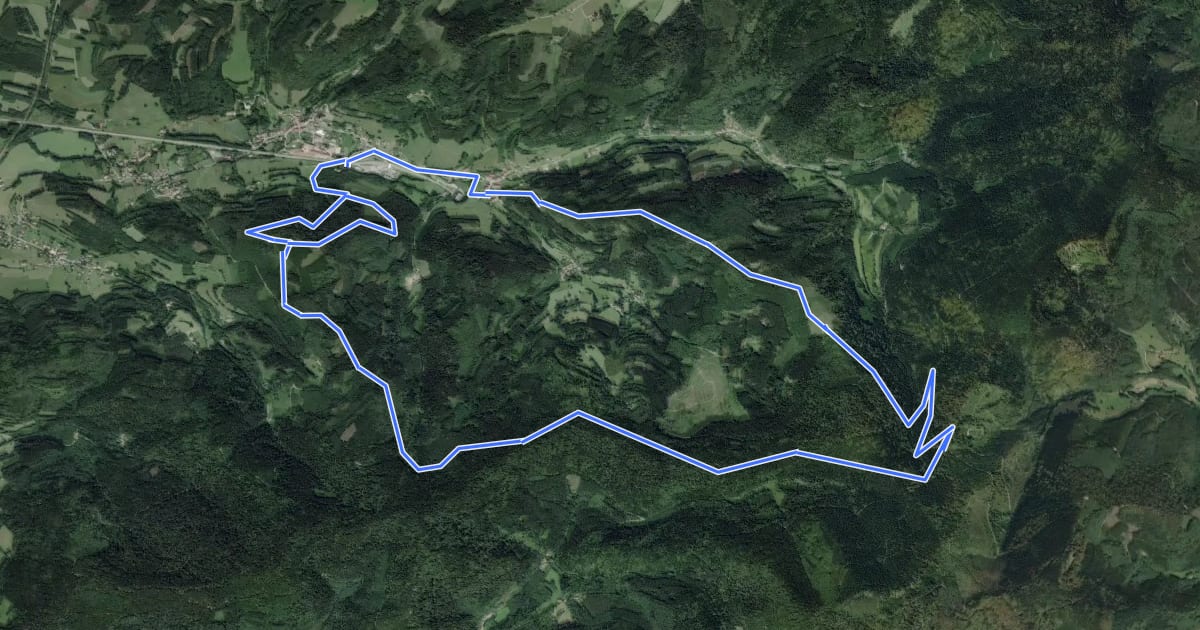 Маршрут Circuit de la chaume de Lusse на спутниковом снимке