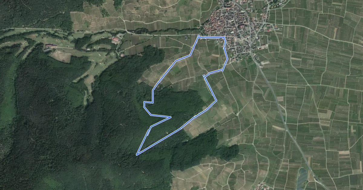 Маршрут Circuit de la croix de Meywihr на спутниковом снимке