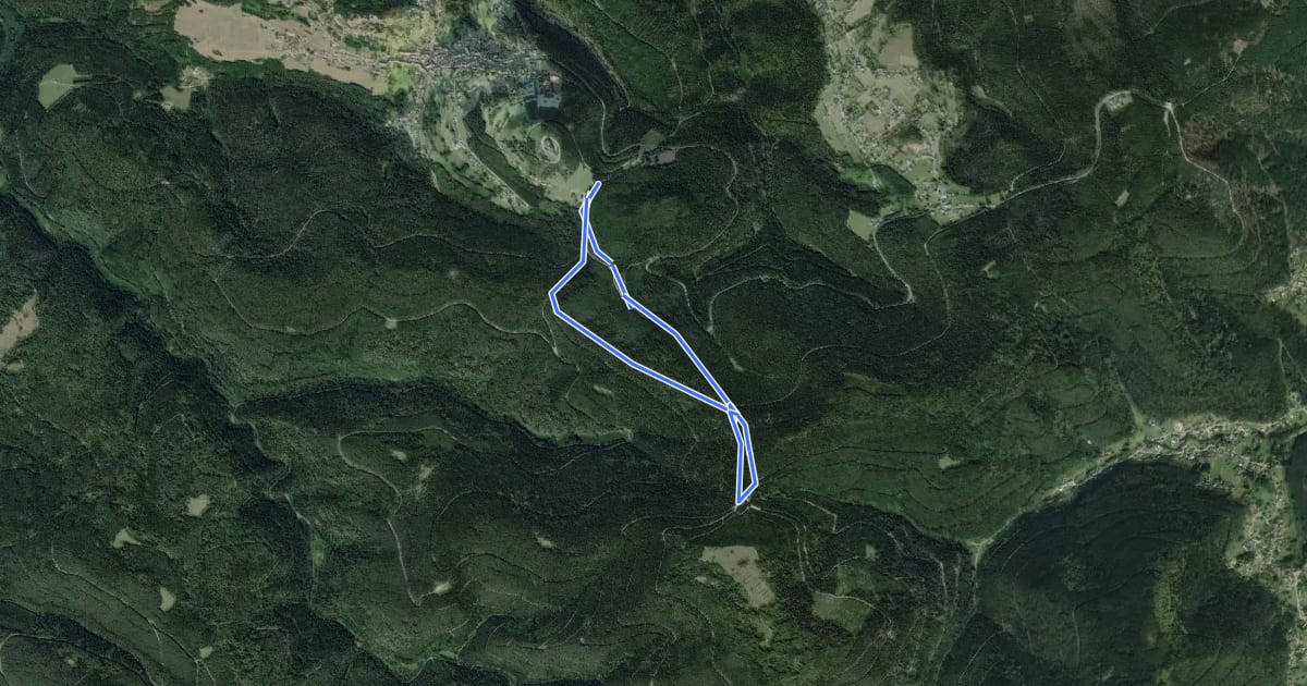 Маршрут Circuit de la Croix du Loup на спутниковом снимке