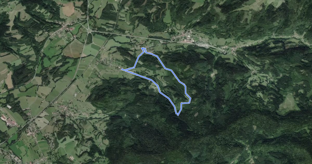 Маршрут Circuit de la Ferme de la Goutte Moymont на спутниковом снимке