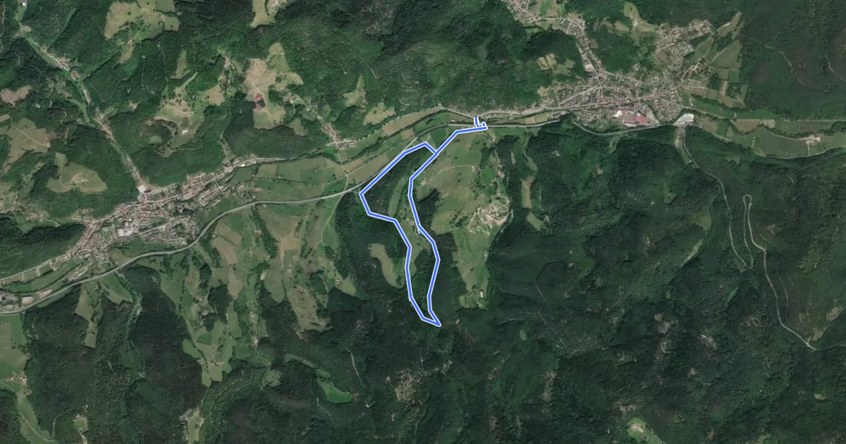 Маршрут Circuit de la ferme de Spiémont на спутниковом снимке