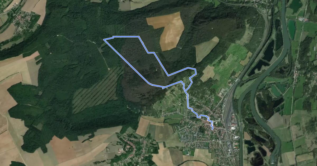 Маршрут Circuit de la forêt communale на спутниковом снимке