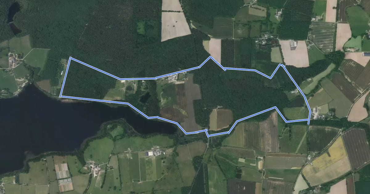 Маршрут Circuit de la Forêt de Vioreau на спутниковом снимке