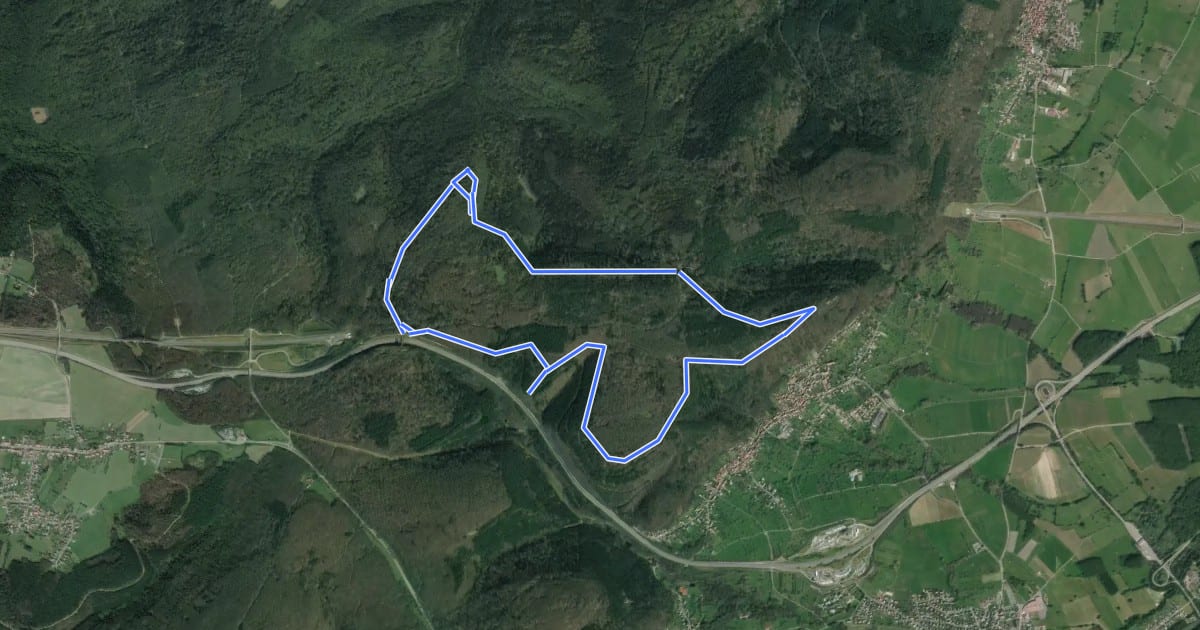 Маршрут Circuit de la Forêt des Dames на спутниковом снимке
