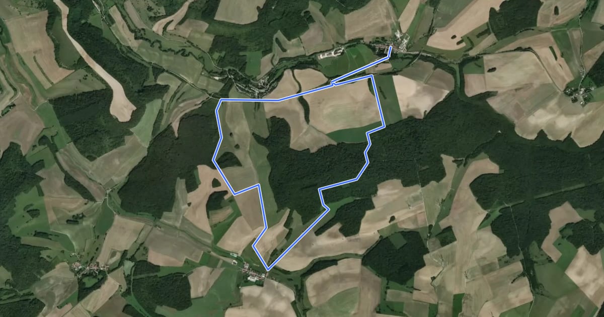 Маршрут Circuit de la Forge на спутниковом снимке