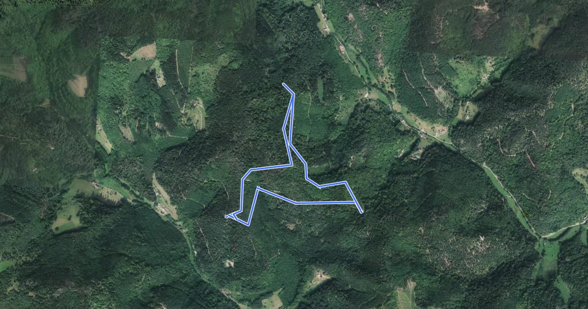 Маршрут Circuit de la goutte du Prince на спутниковом снимке