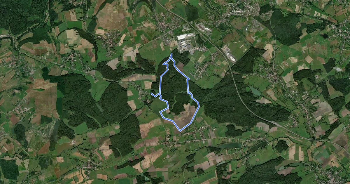 Маршрут Circuit de la Nied Allemande на спутниковом снимке