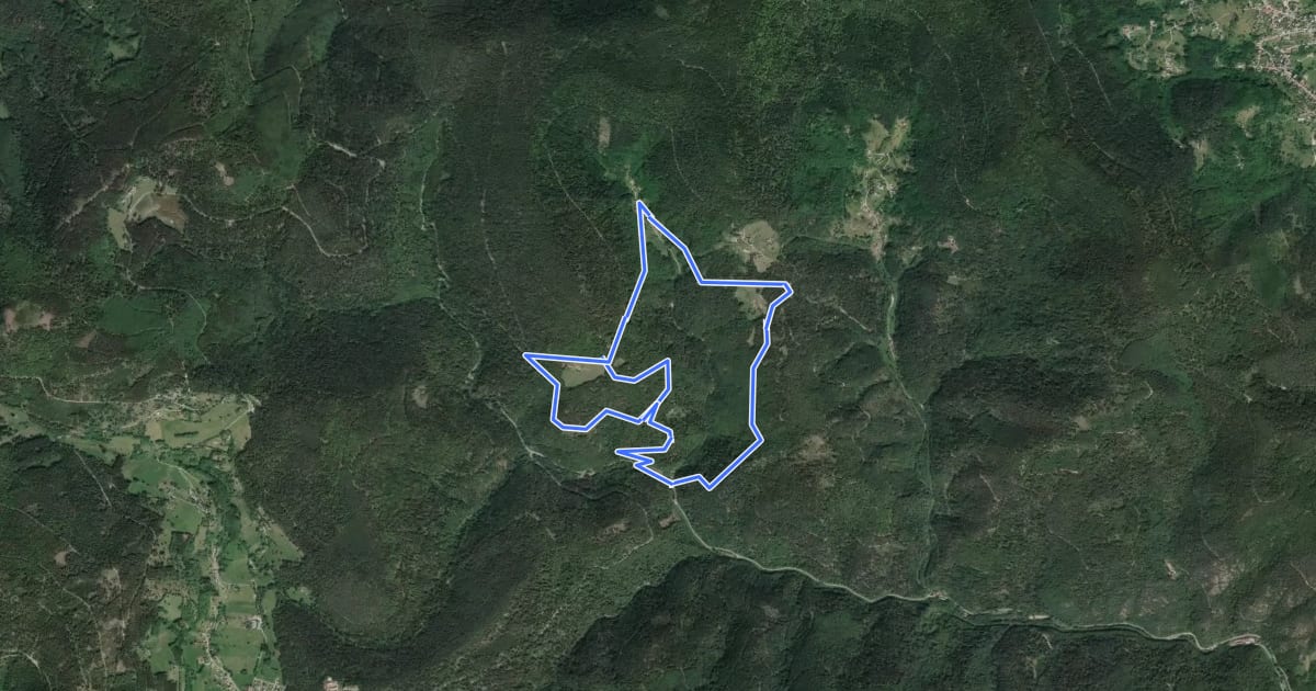 Маршрут Circuit de la Petite Verrerie на спутниковом снимке