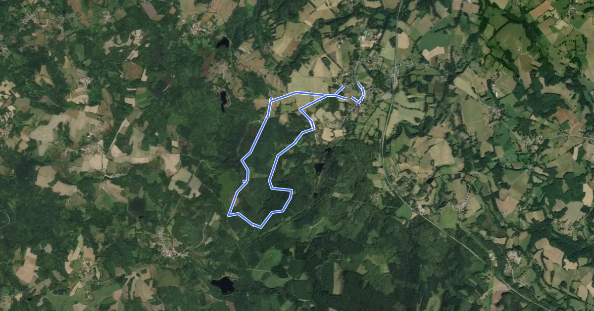 Маршрут Circuit de la Pierre du Loup на спутниковом снимке
