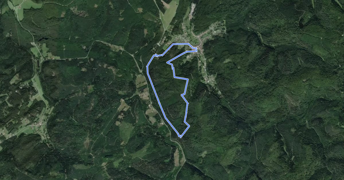Маршрут Circuit de la Priorale на спутниковом снимке