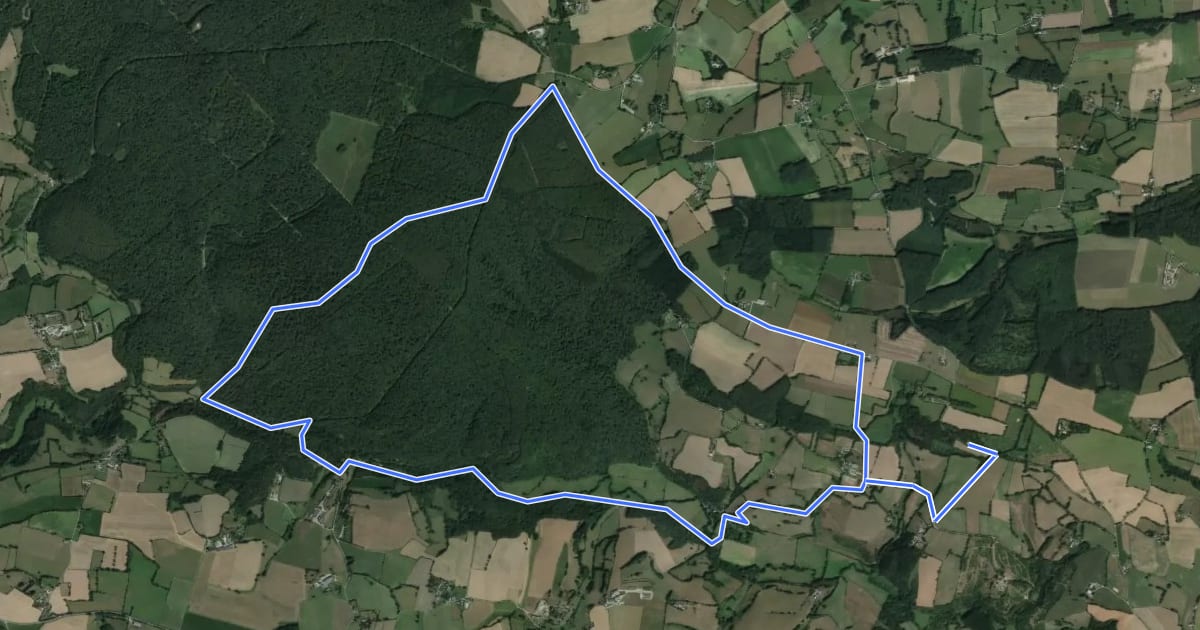Маршрут Circuit de La Prisonnière на спутниковом снимке