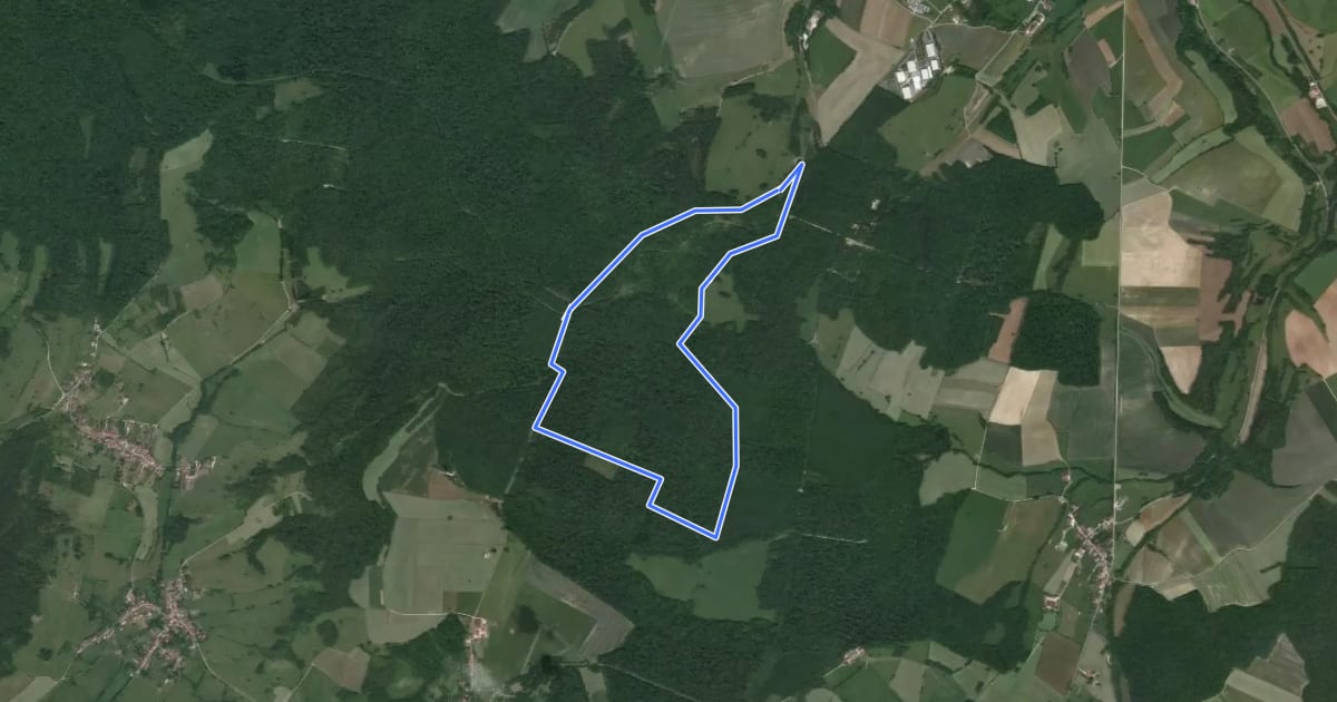 Маршрут Circuit de la Réserve на спутниковом снимке