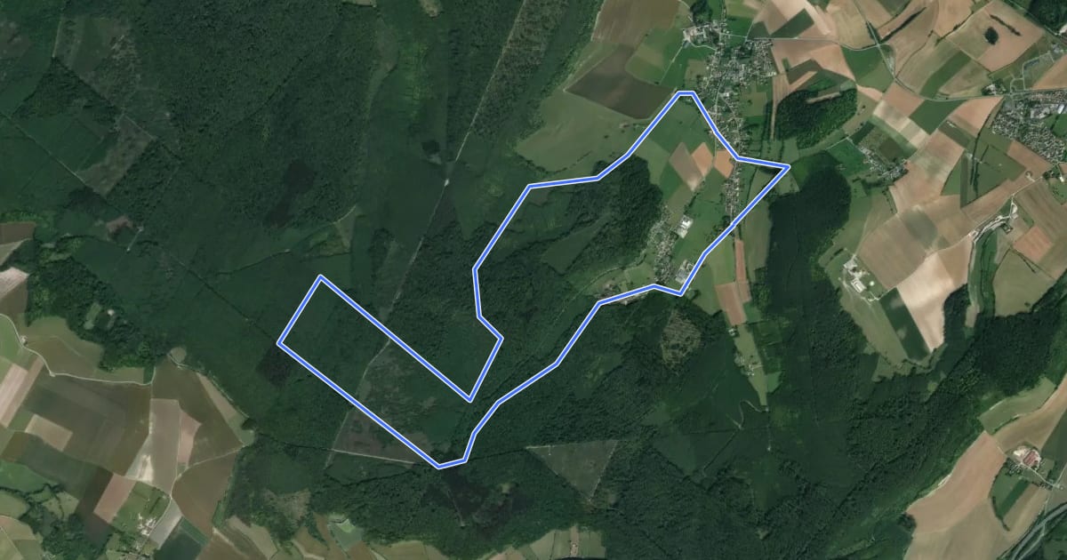 Маршрут Circuit de la Rieuse на спутниковом снимке