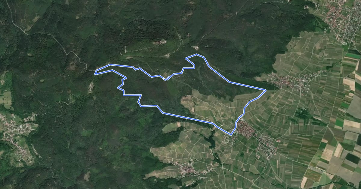 Маршрут Circuit de la Roche des Fées на спутниковом снимке