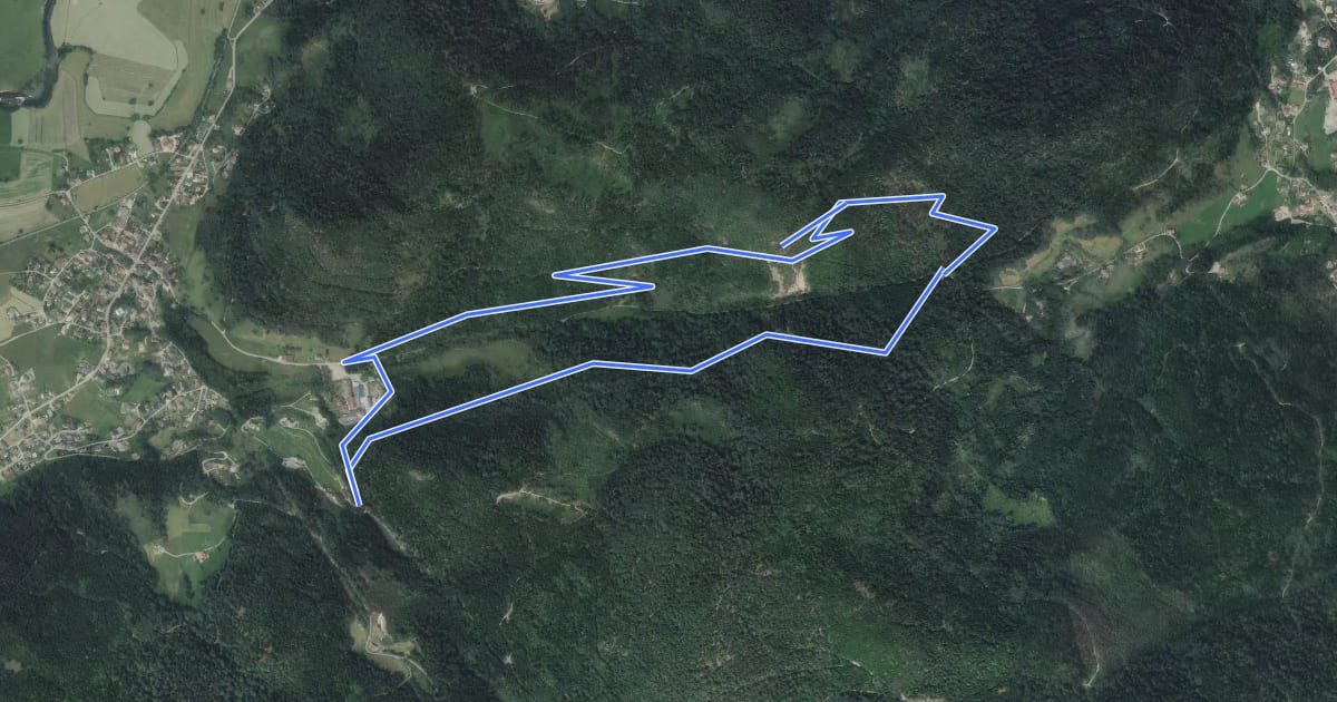 Маршрут Circuit de la Roche du Chenau на спутниковом снимке