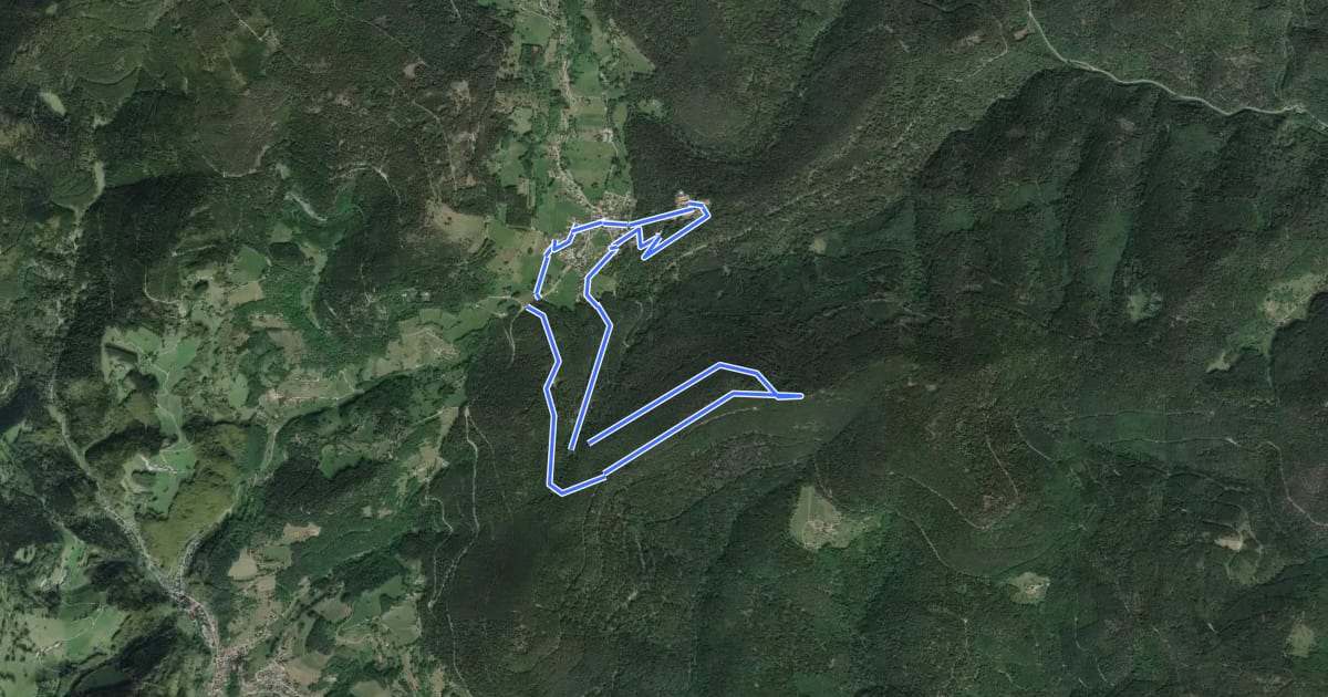 Маршрут Circuit de la Roche du Tétras на спутниковом снимке