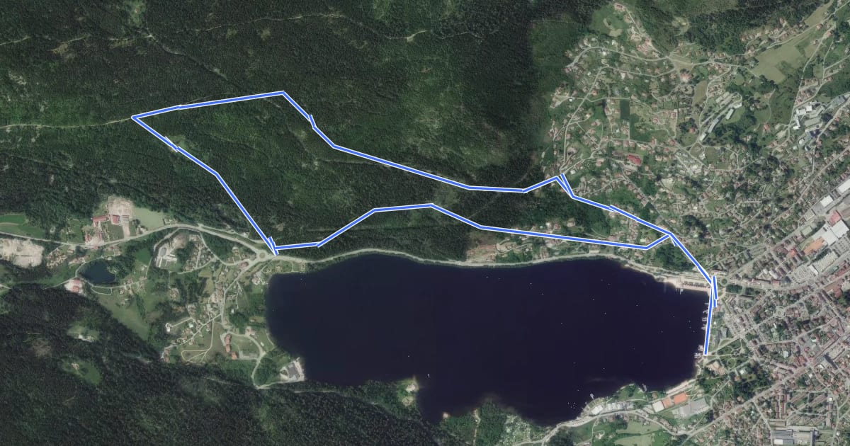 Маршрут Circuit de la Roche Morand на спутниковом снимке