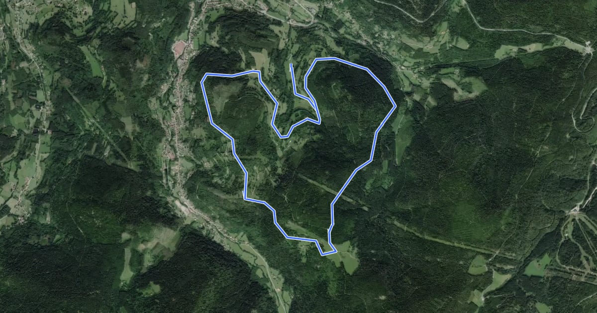 Маршрут Circuit de la Ronde Feigne на спутниковом снимке
