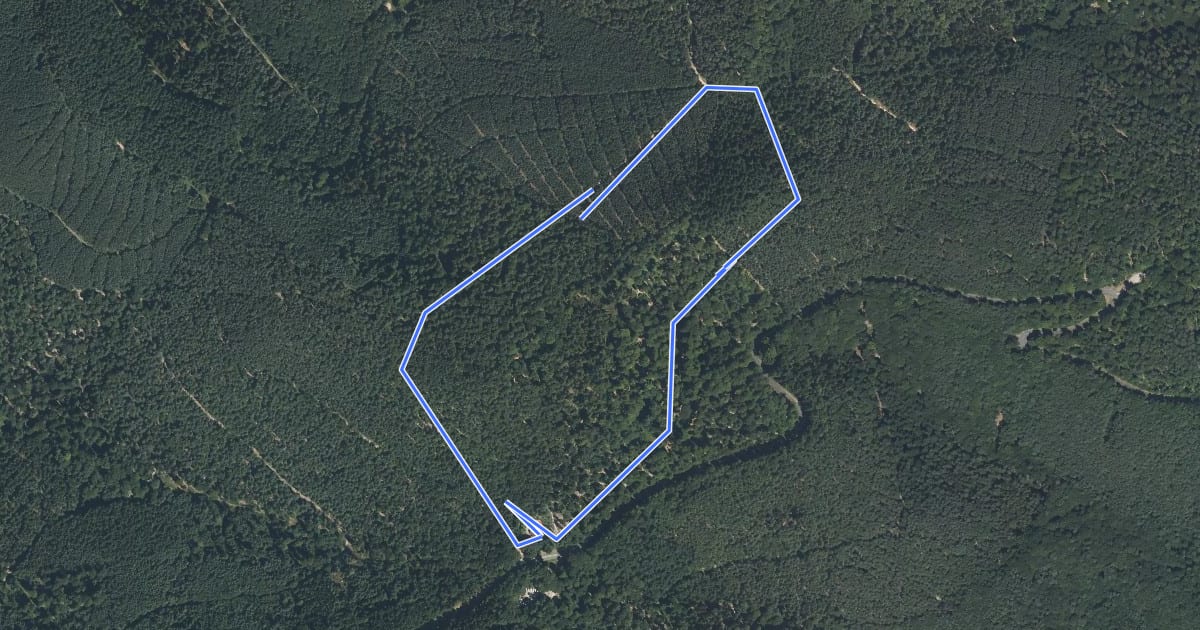 Маршрут Circuit de la Scherhol на спутниковом снимке