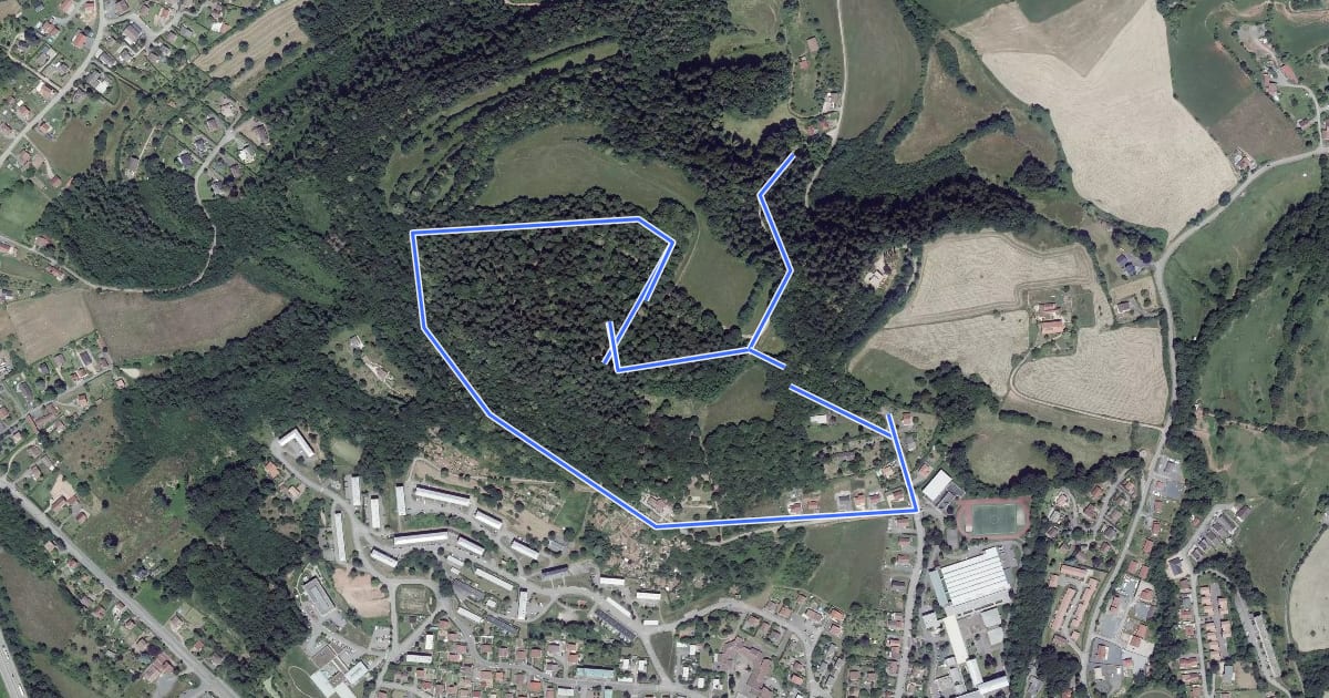 Маршрут Circuit de la Tête de Saint-Roch на спутниковом снимке