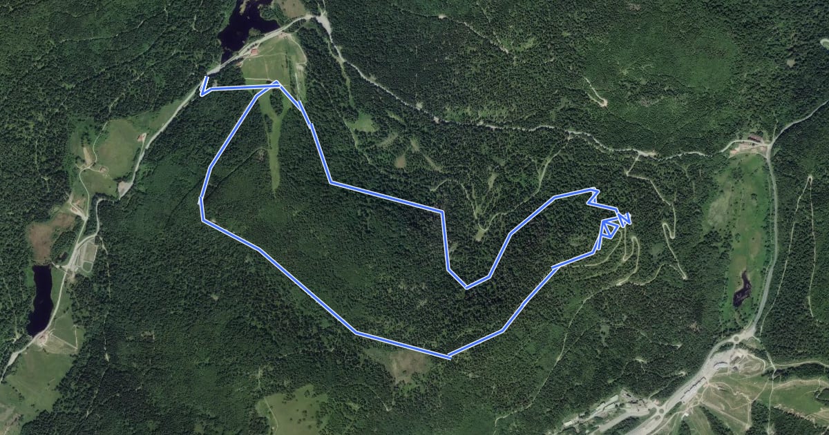 Маршрут Circuit de la Tête des Cerfs на спутниковом снимке