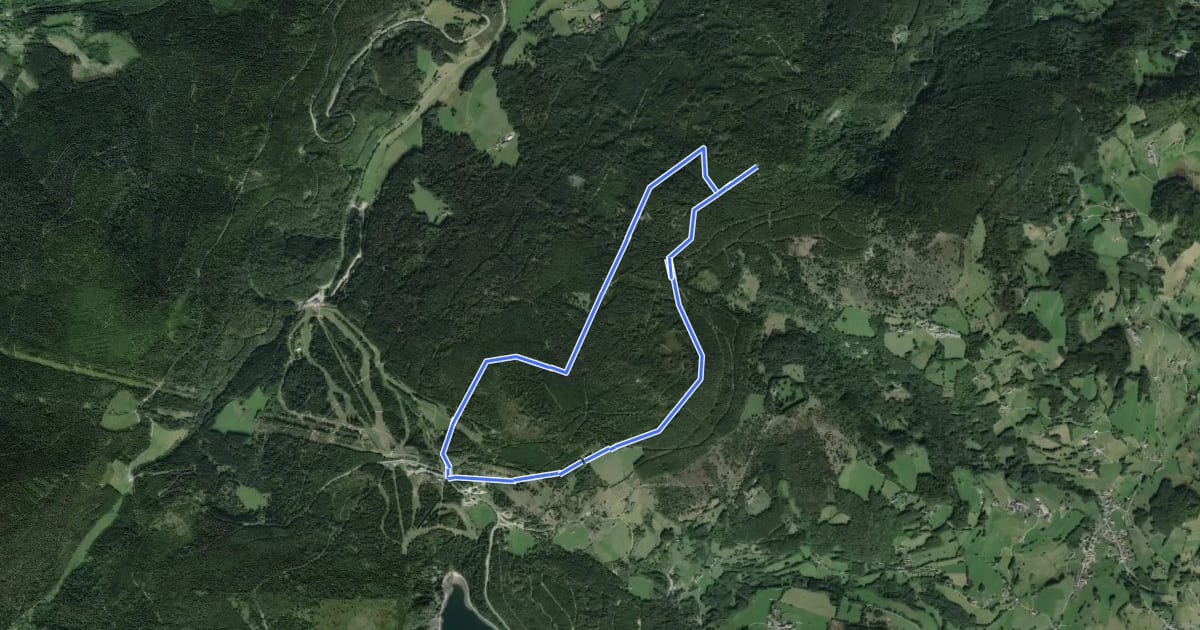 Маршрут Circuit de la Tête des Faux на спутниковом снимке