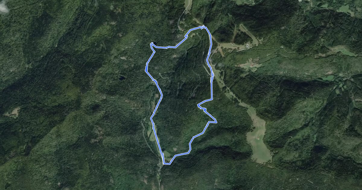 Маршрут Circuit de la vallée de la Savoureuse на спутниковом снимке