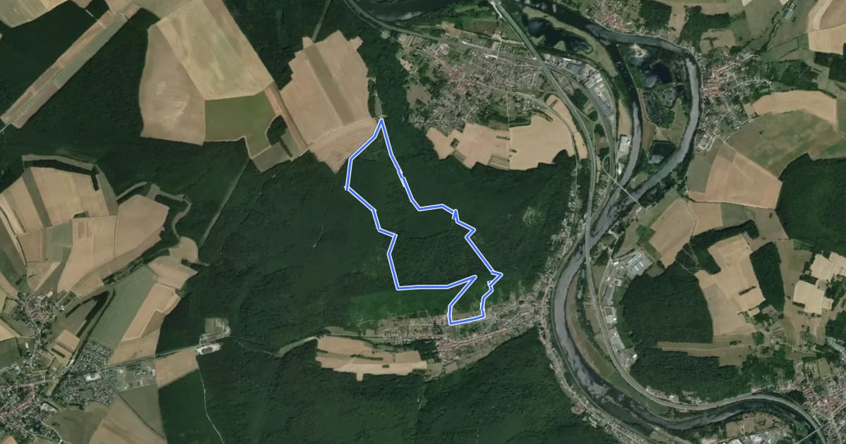 Маршрут Circuit de la Vierge de Belleville на спутниковом снимке
