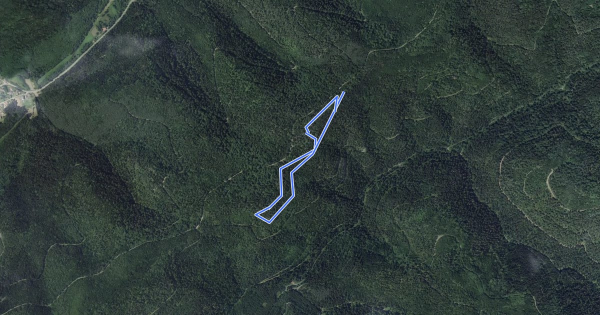 Маршрут Circuit de la Vierge de la Corniche на спутниковом снимке