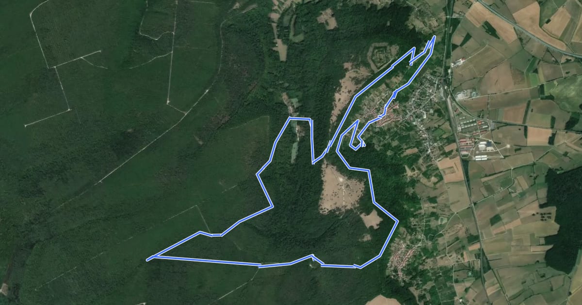 Маршрут Circuit de la Viergeotte на спутниковом снимке